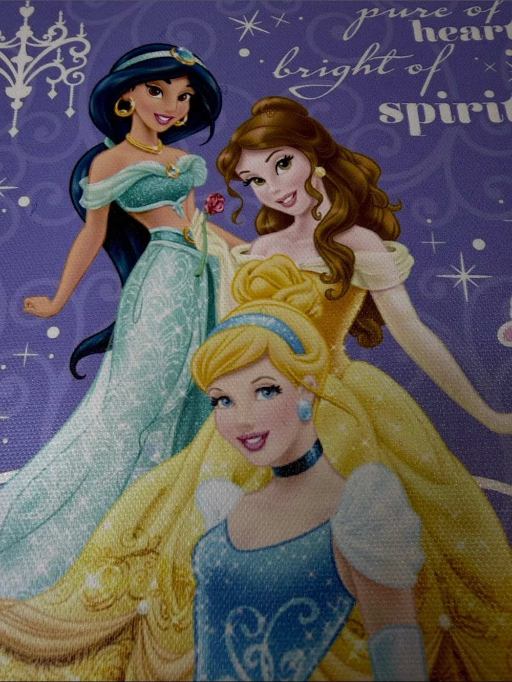 Disney Princess Wall Canvas – Jasmine Belle Cinderella – Pure of Heart Bright of